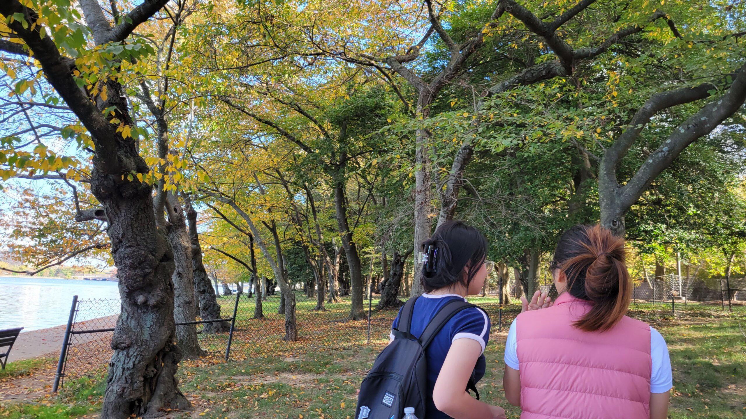 Two students walking in a park